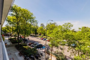 86863f65-f420-48ce-b5d2-ed822c7c9053